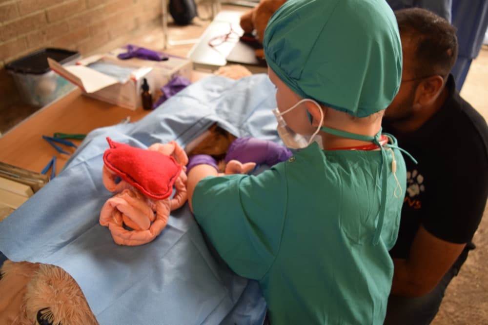 A Young Vet member practices surgery on a toy dog